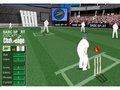 Cricket for at spille online