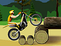 Stunt Dirt Bike for at spille online