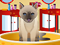 Petz Fashion for at spille online