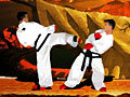 Taekwon-Do for at spille online