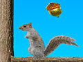 Acorn Toss for at spille online