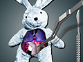 Save The Bunny for at spille online