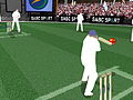 Cricket for at spille online