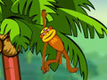 Spider Monkey for at spille online