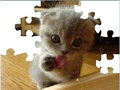 Cute Cat Puzzle for at spille online