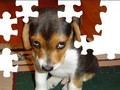 Cute Hund Puzzle for at spille online