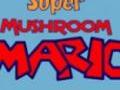 Super Mushroom Mario for at spille online