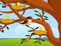 Bird Feeding for at spille online