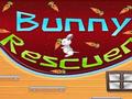 Bunny Rescuer for at spille online