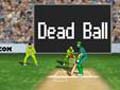 Cricket for at spille online