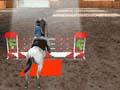 Equestrian 3D for at spille online