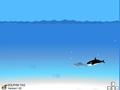 Dolphin Hunt for at spille online