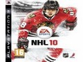 NHL 10 Jigsaw for at spille online