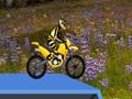 Hillblazer FMX for at spille online