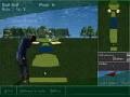 Golf for at spille online